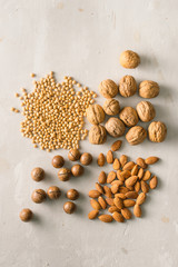 Mix of nuts: Macadamia, almond, soy, walnut. Top view.
