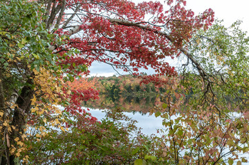 Peekaboo view of New Hampshire pond surrounded by autumn foliage