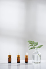 The bio laboratory glassware and blank cosmetic bottle containers with herbal flower ingredient,package for branding.Natural organic beauty skincare product concept. alternative medicine.Spa top view.