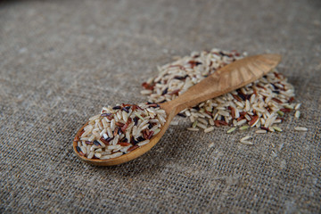 brown rice, mixed wild rice, white (jasmine) rice. species Oryza sativa