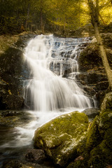 Obraz premium Glowing Falls