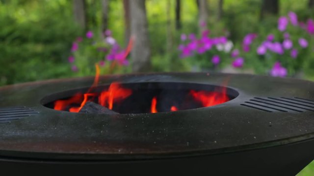 Preparing a new grill for use. Linseed oil on a white cloth. Use of oil for the first calcination of the frying surface. Female hand with a manicure. Happy people having camping and bbq party outdoor.