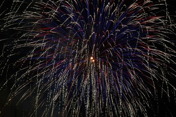 fireworks in the sky