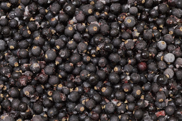  Background from large blackcurrant.