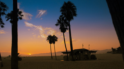 sunset at beach with palm trees