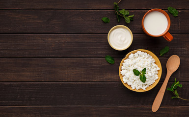 Fototapeta na wymiar Eco farm milk products concept