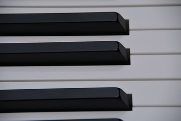 Teclas de Piano