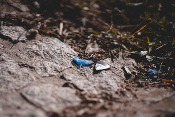 Scherbe, Glasscherbe, Scharf, Blau, Braun, Natur, Umweltverschmutzung 