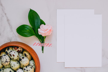 Easter concept, top view white clean blank for your text, pink carnation and quail eggs on marble background.