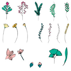 Set of objects vector wildflowers. Objects isolated on white background. Set of elements. Summer vector flowers. Wildflowers.