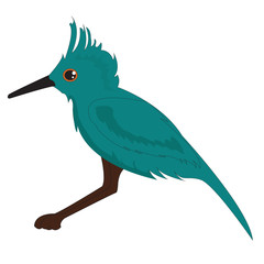 Blue vector bird. Character cartoon design. Vector illustration
