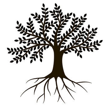 Silhouette tree with roots isolated on white background. Vector illustration