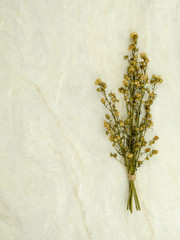 Top view bouquet of dried and wilted green Gypsophila flowers on matt marble background with copy space