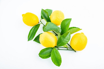 Freshly picked yellow lemon on a white background