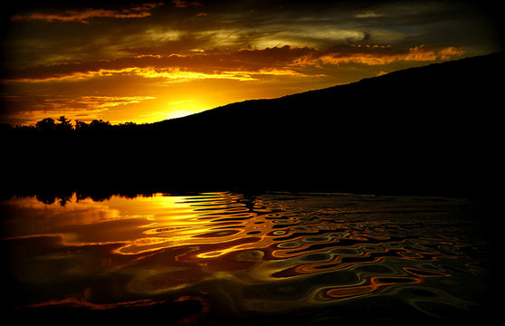 Liquid Gold