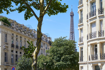 Eiffel Tower, Paris buildings and trees in a sunny summer day, clear blue sky