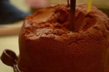 Mole mexicano