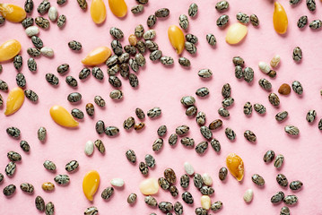 Healthy superfood:  flax seeds, chia seeds and hemp shelled seed on pink background