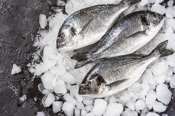 fresh raw dorado fish on ice