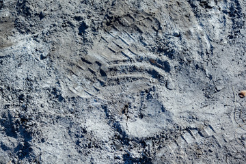 Extinguished and cooled down fire made of wood. Ash and charcoal cooled after burning. Traces of human shoes on the ashes from the fire. Background of coals and ash.