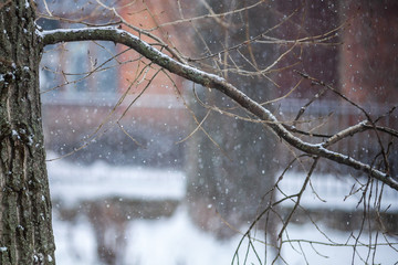 Snowfall in the city. White sidewalks in the snow. Winter cool weather. Blurred background with buildings.