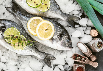 fresh raw dorado fish on ice