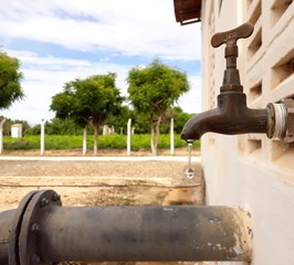 Água é tudo de bom