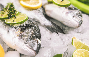 fresh raw dorado fish on ice