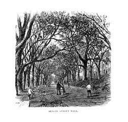 Boston city. Engraving illustration