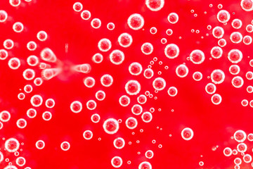 red background with bubbles