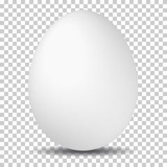 egg on white background