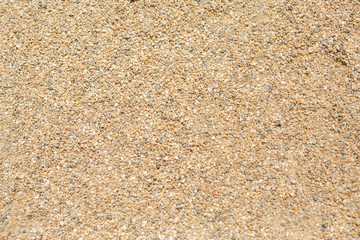Sea sand texture made of shell and stone pieces. Seamless texture