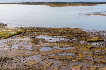 Spain, Lanzarote, Volcanic green algae covered sea ground in low tide period