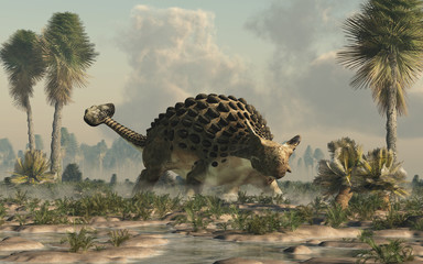 Ankylosaurus, one of the most popular dinosaurs, was a cretaceous era ornithischian herbivore.  The armored dino stands in a watery lowland. 3D Rendering.  © Daniel Eskridge