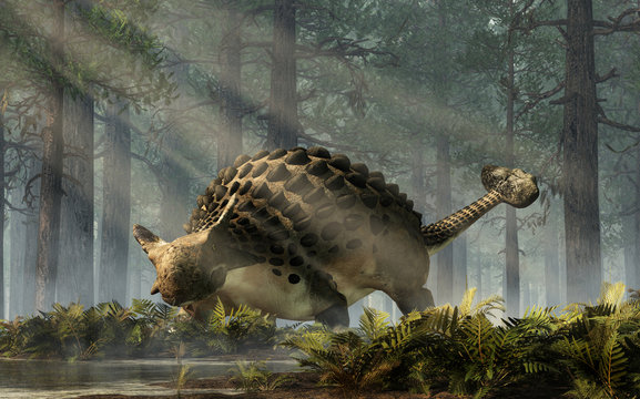 Ankylosaurus, one of the most popular dinosaurs, was a cretaceous era ornithischian herbivore. The armored dino stands in a forest of fir trees with a floor of ferns. 3D Rendering. 