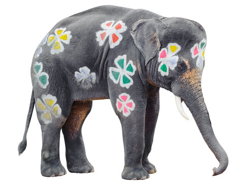 A painted elephant at the songkran festival in ayuthaya ,thailand
