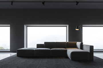 Gray minimalistic living room interior