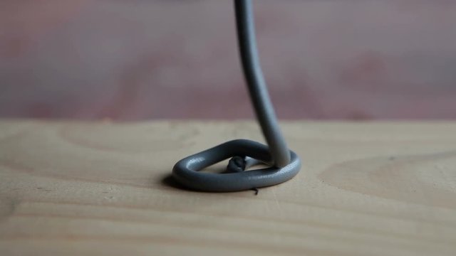 Gray silicone paste is extruded from the tube.