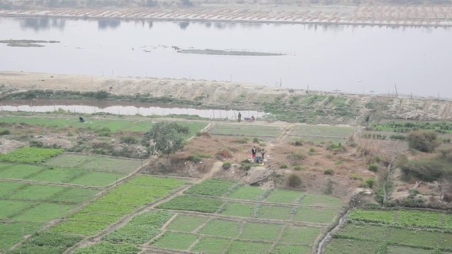 plantation of various green fields near the Yamuna river aerial view. Delhi India