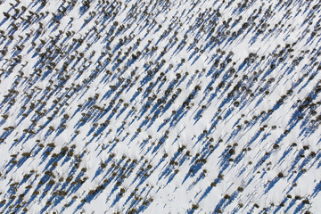 aerial view of the winter  mountain landscape