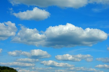 Fototapeta premium природа