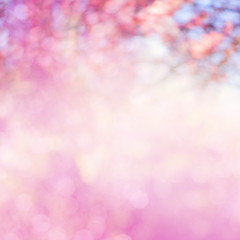blur pink flowers background
