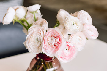 Lovely flowers in glass vase. Beautiful bouquet of pink persian buttercup.