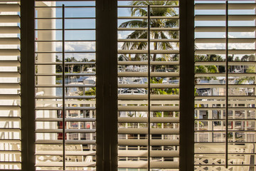 view through window shutters of tropical scene