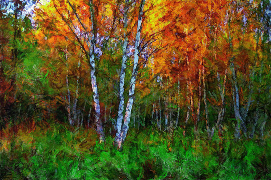 oil painting birch in the middle of  grass in autumn
