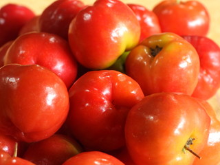 red acerola