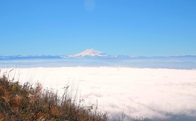 fog in the mountains
