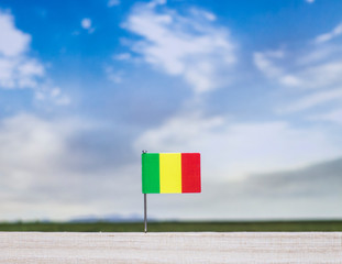 Flag of Mali with vast meadow and blue sky behind it.