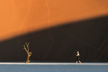 A woman walks toward a tree in Deadvlei, Sossusvlei, Namibia.