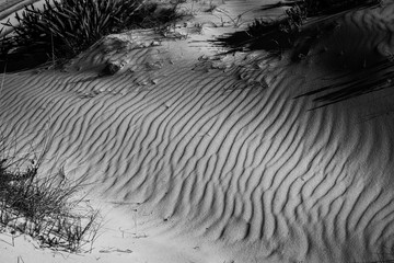 beautiful waves and shadows in the sand found in Bolonia, Spain in black and white